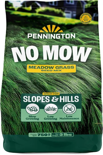 Vista 10 de Pennington Mezcla sin cortar, semillas de hierba de festuca, semillas