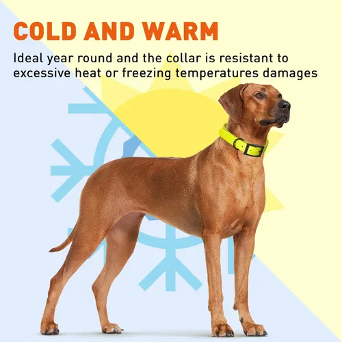 Vista 112 de Dogline Biothane - Collar impermeable para perro con hebilla de liberación rápida, resistente cincha de nailon recubierta con resistente y a prueba