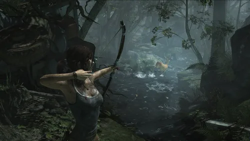 Vista 26 de Tomb Raider