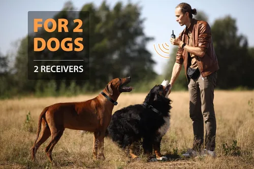 Vista 3 de PATPET Collar de choque de perro para 2 perros, collar E de rango de 3/4 millas para entrenamiento de perros con 3 modos de entrenamiento, collar