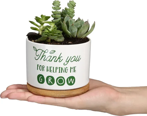 Vista 4 de DOMG Regalo de Apreciación para Maestros, Maceta de Cerámica para Suculentas Pequeña Maceta de Flores para Uso en Interior y Exterior, Gracias por