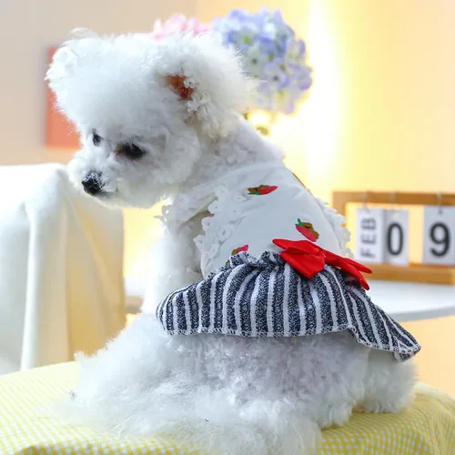 Vista 3 de Chihuahua Yorkies - Vestidos de princesa de verano, lindo vestido de oso, trajes para cachorros para perros pequeños, niña, clip de mariposa a