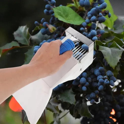 Vista 8 de Herramienta portátil para recoger arándanos con asa, rastrillo de bayas ligero para una eficiencia eficiente de arándanos, arándanos y más