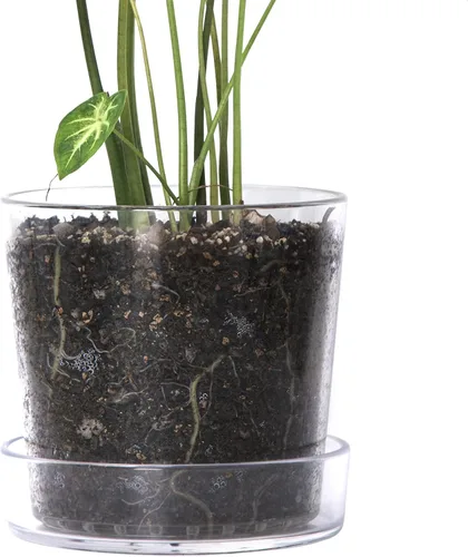 Vista 8 de Maceta Phoenix Vine de 3.5 pulgadas de acrílico transparente con bandeja, maceta para orquídeas con agujeros de drenaje, platillo profundo