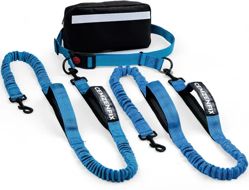 Vista 18 de Correa de perro manos libres con cinturón – Bungee sin tirones, asas acolchadas dobles y bolsa con cremallera para correr, caminar y entrenar