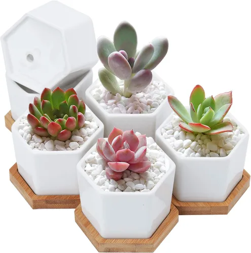Vista 5 de Foraineam Paquete de 10 mini macetas para suculentas, 2.76 pulgadas hexagonales de cerámica blanca con bandeja de bambú