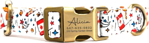 Vista 12 de Collar de perro personalizado con nombre y número de teléfono grabado, collar ajustable personalizado para cachorros, collar de algodón orgánico