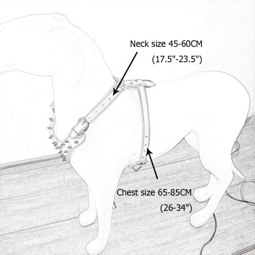 Vista 2 de Arnés para perro con tachuelas de cuero de raza, collar y correas, juego de 3 piezas para perros medianos y grandes, mastín, boxer, bull terrier