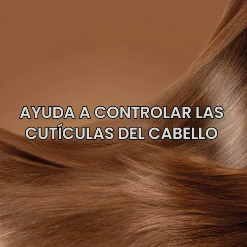 Vista 7 de Champú Organix