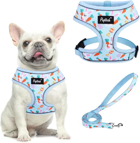 Vista 82 de PUPTECK Juego de arnés y correa de malla suave para perro, cachorro y gato, cómodo chaleco acolchado sin tirones, azul Pascua, S