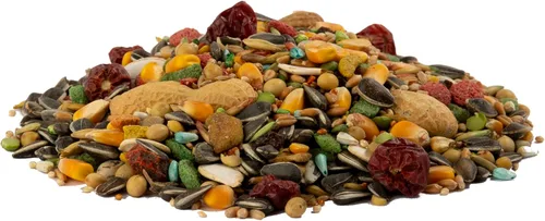 Vista 4 de Wild Harvest Advanced Nutrition - Loro de 4 libras, mezcla de semillas, granos y verduras