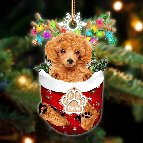 Vista 114 de NAZENTI Adorno Navideño de Bolsillo Personalizado de Affenpinscher en la Nieve, Adorno de Forma Acrílica de Perro, Adorno de Navidad 2023, Adorno