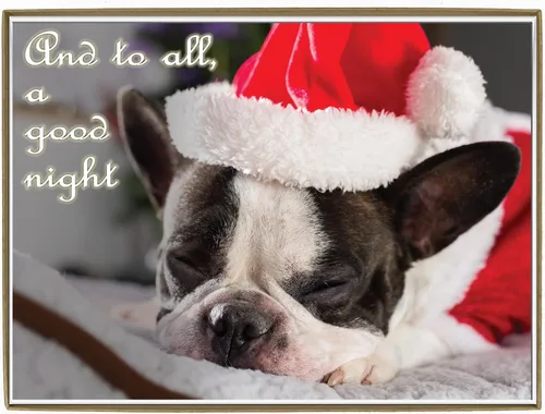 Vista 21 de Glory To Dog And To All A Good Night Sleepy Beagle Puppy - Juego de 12 tarjetas y sobres de Navidad