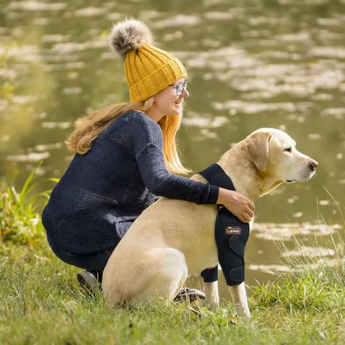 Vista 2 de Codera para codo de perro XL – Apoyo extra para lesiones de codo, displasia, artritis – Almohadillas de recuperación para razas grandes – Ajuste