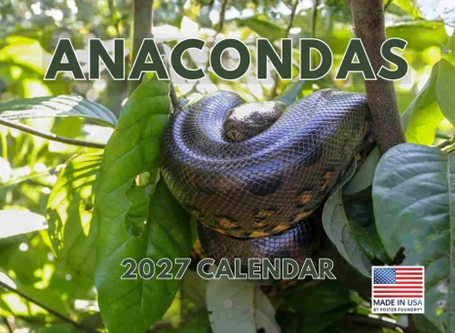 Vista 75 de Calendario mensual de pared de alpaca 2025 Fabricado en Estados Unidos