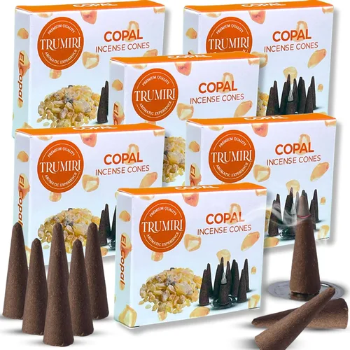 Vista 62 de TRUMIRI Incienso ámbar – Paquete de 20 conos (2 x 10) – Incienso de cono perfumado