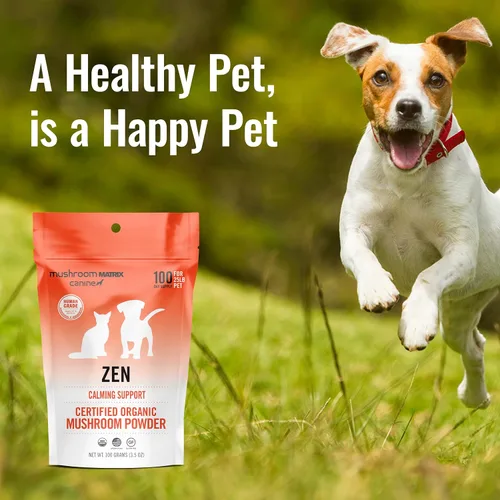 Vista 5 de Om Mushroom Matrix Pet - Canino Mezcla de hongos Zen Matrix Suplemento para mascotas en polvo de hongos orgánicos de grado humano cultivado