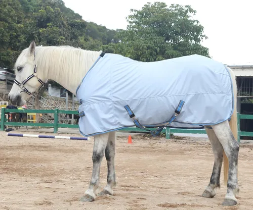 Vista 6 de LEAFOREST Alfombra de verano con cuello estándar de malla de caballo, color azul, 63 pulgadas