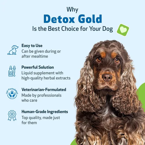 Vista 5 de Pet Wellbeing Detox Gold para perros - Suave apoyo de desintoxicación y eliminación, cuidado del sistema inmunológico, ortiga, cardo bendito, raíz
