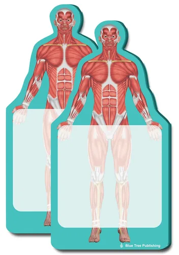 Vista 28 de Notas Adhesivas de Anatomía