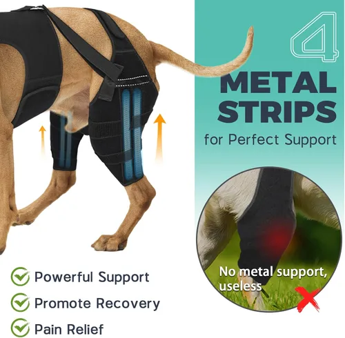 Vista 2 de Rodillera para perro para pierna trasera desgarrada, ajustable para pierna trasera con 7 estabilizadores, reduce el dolor, lesiones de ligamentos