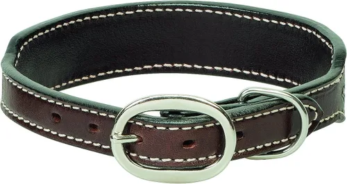 Vista 2 de Weaver Pet - Collar de perro con cuentas, 3/4 x 15 pulgadas