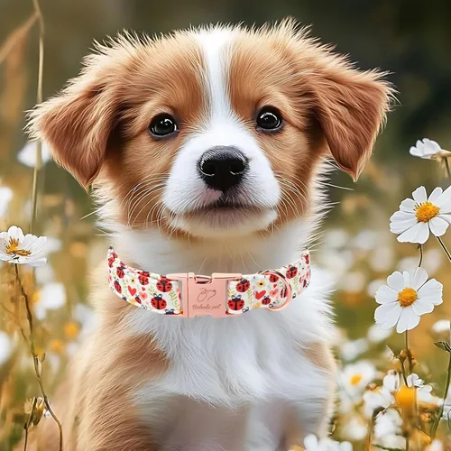 Vista 313 de Collar para perros del 4 de julio, collares patrióticos azules para cachorros y perros pequeños, ligero y ajustable 1776 collares para cachorros