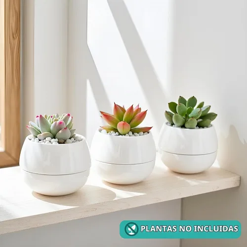 Vista 5 de Willowy Macetas pequeñas para suculentas de 3.5 pulgadas, paquete de 3, macetas pequeñas de cerámica blanca para suculentas, no incluye plantas