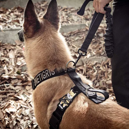 Vista 3 de Arnés ligero sin tirones para perro, perfecto para caminar y senderismo con perros pequeños a grandes (negro, XL)