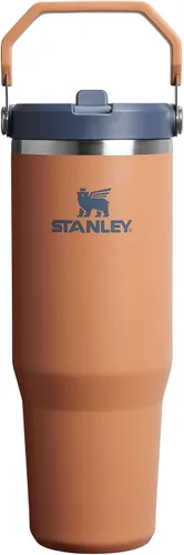 Vista 139 de STANLEY IceFlow 2.0 - Vaso con pajilla abatible con asa, 30 onzas, tapa giratoria y popote abatible, botella de agua a prueba de fugas, acero Tiza