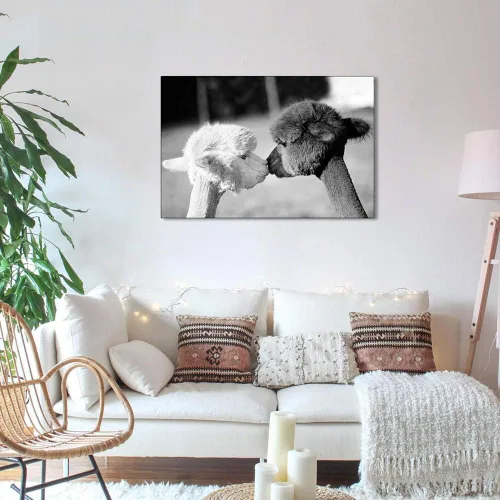 Vista 5 de Wall Art Canvas Print Cute Animal Two Kissing Alpacas Llamas Painting Picture and Poster Morden Artwork Home Decor for Living Room (Framed,30x50 cm)