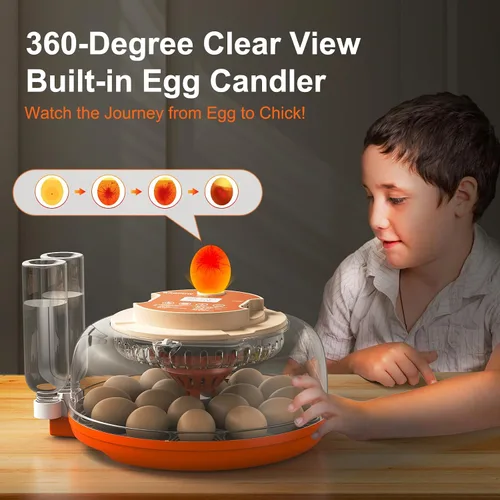 Vista 7 de Incubadora de 18 huevos, giro automático con control de temperatura y humedad, vela de huevos, vista 360 con ventilación de aire, recarga automática