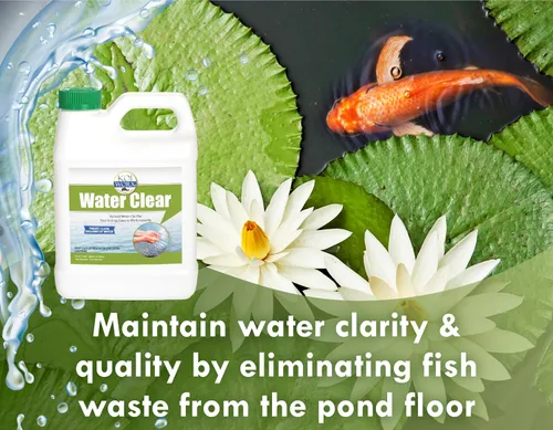 Vista 2 de KoiWorx Water Clear – Clarifica estanques decorativos y ornamentales, seguro para Koi – 1 cuarto de galón