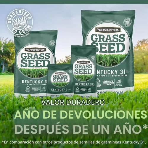 Vista 5 de Pennington Kentucky 31 Festuca - Semillas de hierba de 20 libras de altura