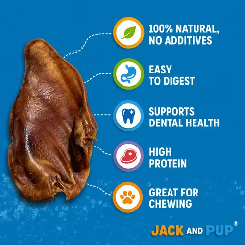 Vista 2 de Jack&Pup Orejas de cerdo para perros (paquete de 25) – Masticables naturales de oreja de cerdo entero, de un solo ingrediente, extra gruesas