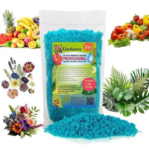 Vista 155 de Fertilizante profesional de palmeras prémium 8-4-8 Plantas en macetas de interior y palmeras de paisaje al aire libre Fertilizante nitrogenado