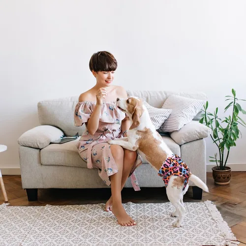 Vista 2 de Pañales reutilizables para perras femeninas, almohadillas lavables para orina de cachorro con correa ajustable para perros pequeños en calor e