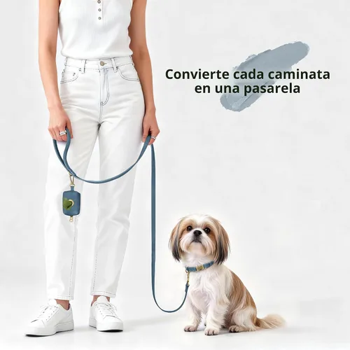 Vista 4 de Didog Collar de perro de piel sintética suave, elegante collar de liberación rápida para perros pequeños, fácil de limpiar, collar ajustable
