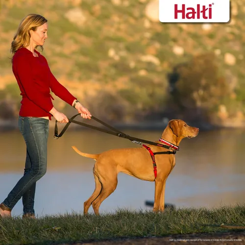 Vista 6 de Halti Arnés de control frontal tamaño mediano y correa de entrenamiento Halti tamaño grande, paquete combinado negro – evita que tu perro tire