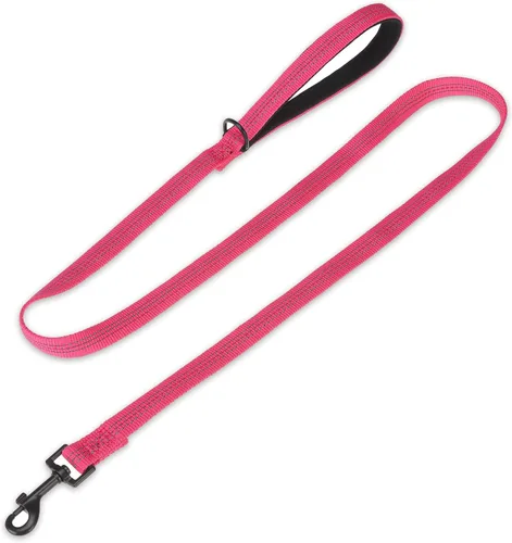 Vista 24 de PUPTECK Correa reflectante para perro con cómodo mango acolchado, correa de nailon duradera para perros pequeños, medianos y grandes, gatos Beige