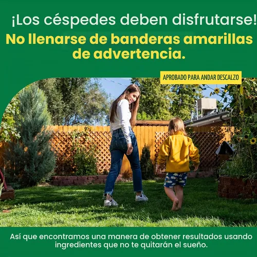 Vista 7 de Semillas y fertilizantes de hierba Sunday Northwest con festuca alta, sol