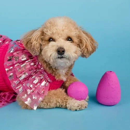 Vista 5 de Doggy Parton Conjunto de falda de suéter con volantes para perros - XS