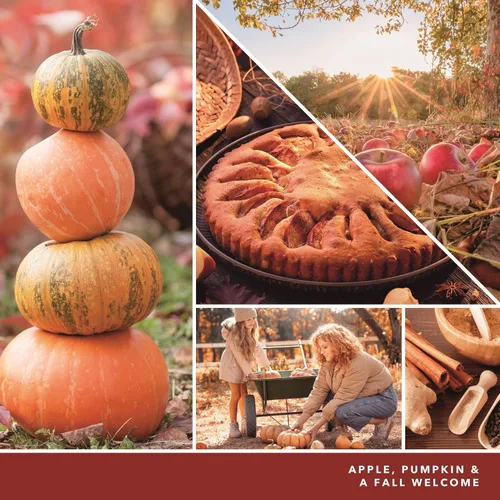 Vista 3 de Yankee Candle ScentPlug - Recambio (2.5 onzas (paquete de 4), calabaza de manzana)