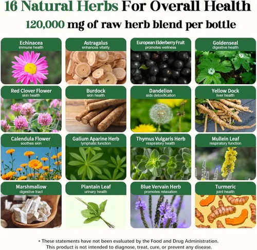 Vista 5 de Migcopat Gotas liposomales de drenaje linfático 26 en 1, con equinácea, cúrcuma, saúco, diente de león, vitaminas y verbascum para pulmones, sistema