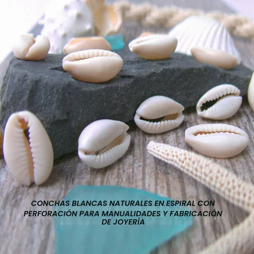 Vista 6 de 100 cuentas de concha de cauri, cuentas de concha en espiral natural blanca para hacer joyas, conchas de cowrie de playa de verano