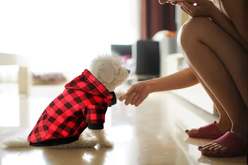 Vista 5 de Sudadera con Capucha a Cuadros Rojos para Perros, Ropa para Mascotas con Capucha y Bolsillo (XS)