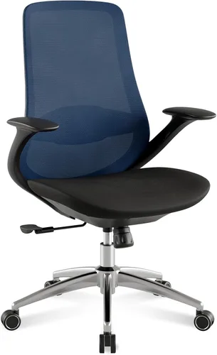 Vista 10 de BV Silla de oficina ergonómica, silla de escritorio ejecutiva con respaldo alto con reposabrazos 2D, soporte lumbar ajustable, silla de computadora