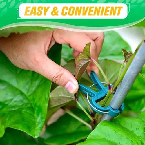 Vista 4 de 60 clips para plantas, 2 tamaños, para plantas de jardín, para tomate, plantas trepadoras, plantas colgantes, para vides, suministros de jardinería
