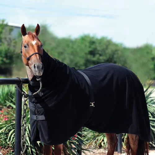 Vista 2 de CLASSIC EQUINE Enfriador de forro polar Premium, Color: Negro, Tamaño: M (CEPFCBKM)