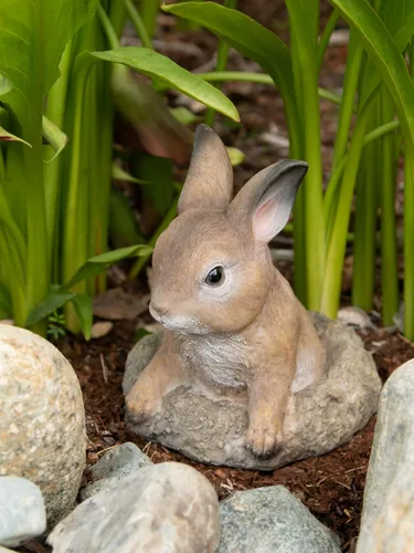 Vista 4 de Casa Locomoción Curious Bunny Garden Decor